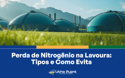 Perda de Nitrogênio na Lavoura: Tipos e Como Evitar