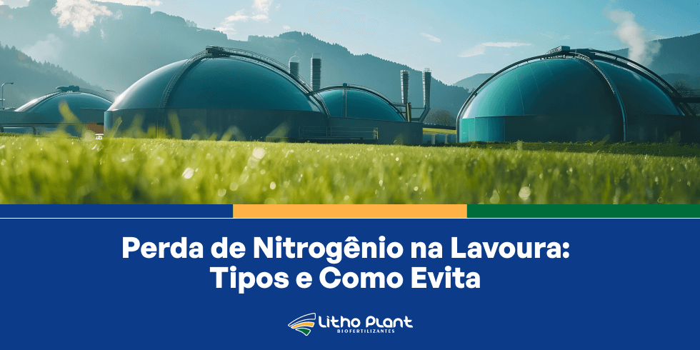 Perda de Nitrogênio na Lavoura: Tipos e Como Evitar