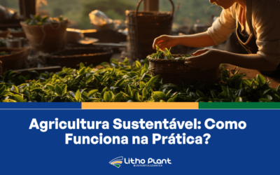 Agricultura Sustentável: Como Funciona na Prática?