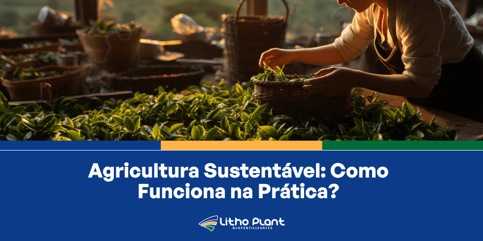 Agricultura Sustentável: Como Funciona na Prática?