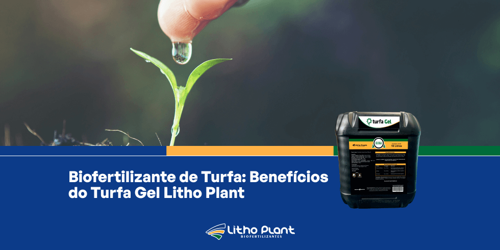 Biofertilizante de Turfa: Benefícios da Turfa Gel Litho Plant