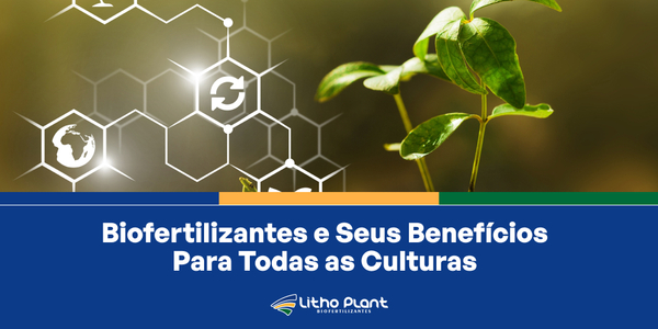 Biofertilizantes e Seus Benefícios Para Todas as Culturas