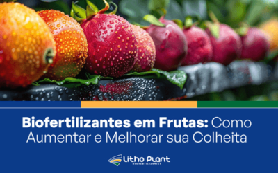 Biofertilizantes em Frutas: Como Aumentar e Melhorar sua Colheita