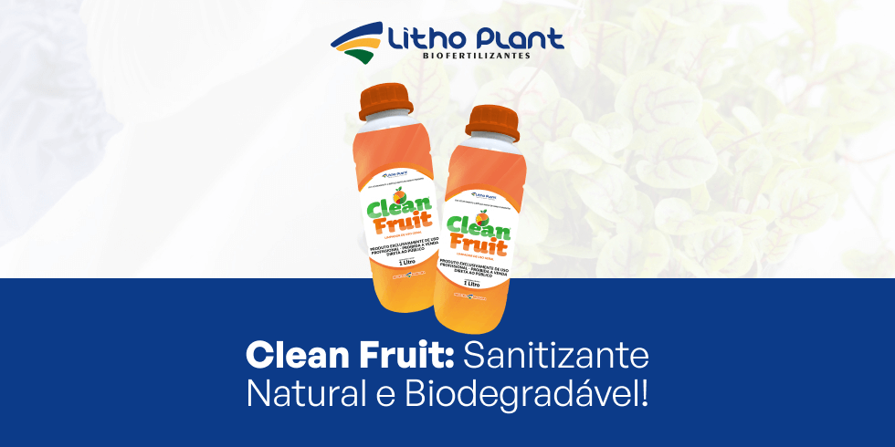 Clean Fruit: Sanitizante Natural e Biodegradável!