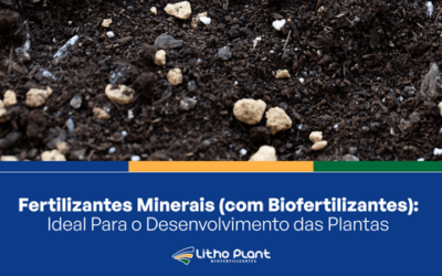 Fertilizantes Minerais: Ideal Para o Desenvolvimento das Plantas