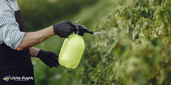 Biofertilizantes em Frutas: Como Aumentar e Melhorar sua Colheita