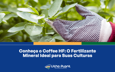 Conheça o Coffee HF – O Fertilizante Ideal para Suas Culturas