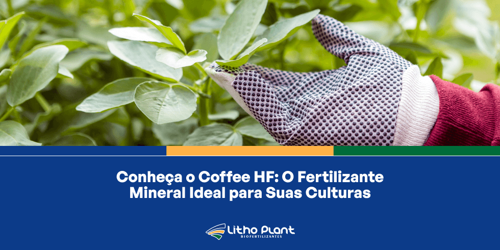 Conheça o Coffee HF - O Fertilizante Ideal para Suas Culturas