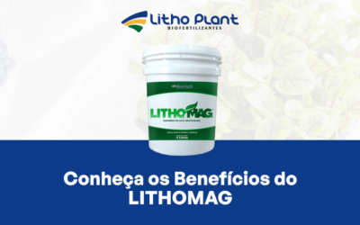 Conheça os Benefícios do LITHOMAG