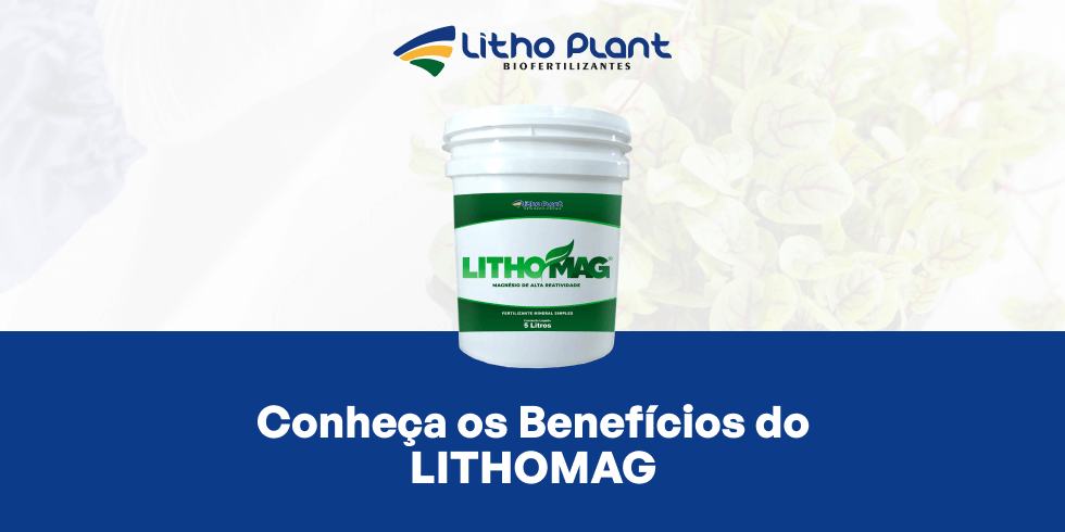 Conheça os Benefícios do LITHOMAG