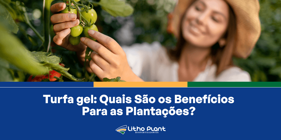 Turfa gel: Quais São os Benefícios Para as Plantações?