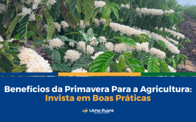 Benefícios da Primavera Para a Agricultura: Invista em Boas Práticas