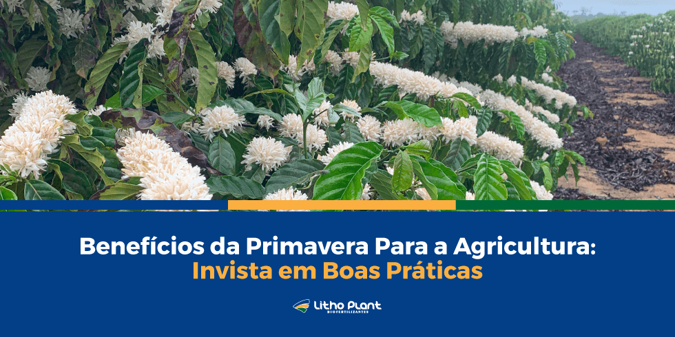 Benefícios da Primavera Para a Agricultura: Invista em Boas Práticas