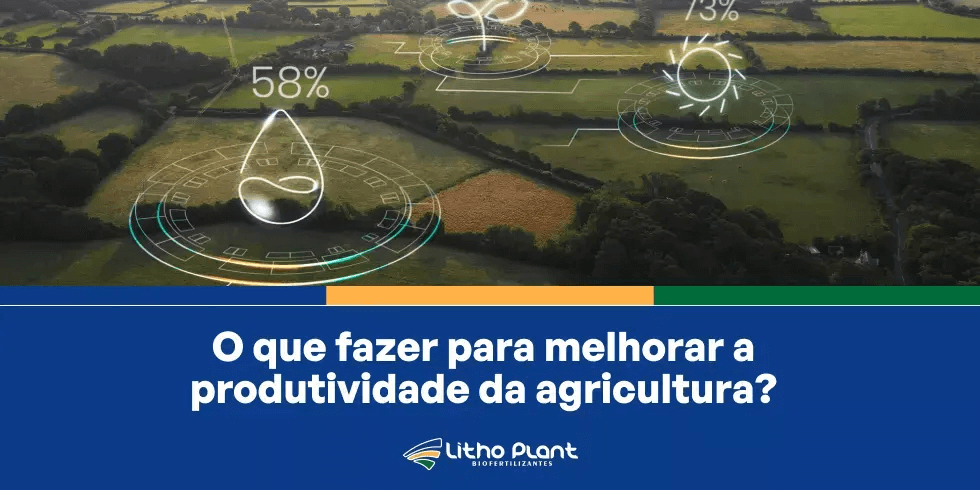 O Que Fazer Para Melhorar a Produtividade da Agricultura?